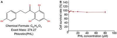 Phloretin Prevents Diabetic Cardiomyopathy by Dissociating Keap1/Nrf2 Complex and Inhibiting Oxidative Stress